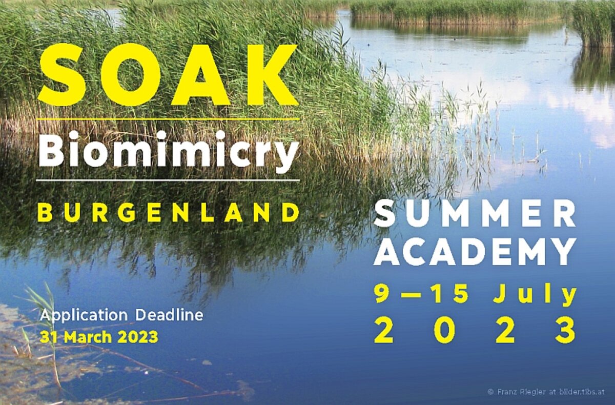 Sujet der Sommerakademie 2023 | © Nachhaltige Hochschulen