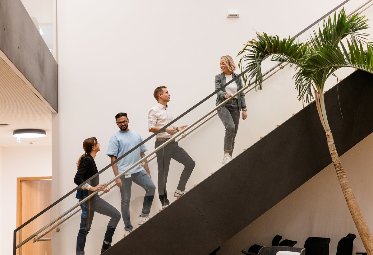 FHV-Mitarbeitende auf der Treppe | © Nina Bröll / FHV