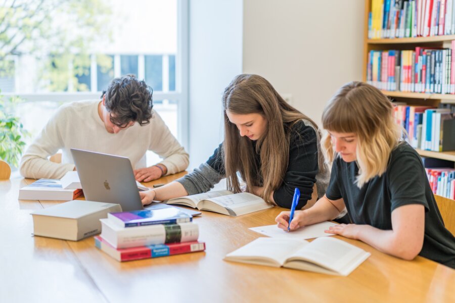 Studierende sitzen am Tisch und lernen mit Büchern und Laptop | © Fabrizio Prizi