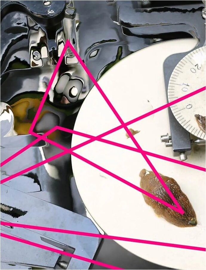 Design research project Ars Electronica 11 | © FHV Image with pink strokes over a close-up of a snail on a device. | © FHV
