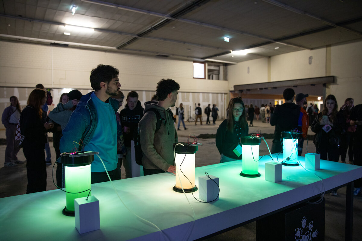 Menschen schauen sich ein Austellungsstück an | © FHV