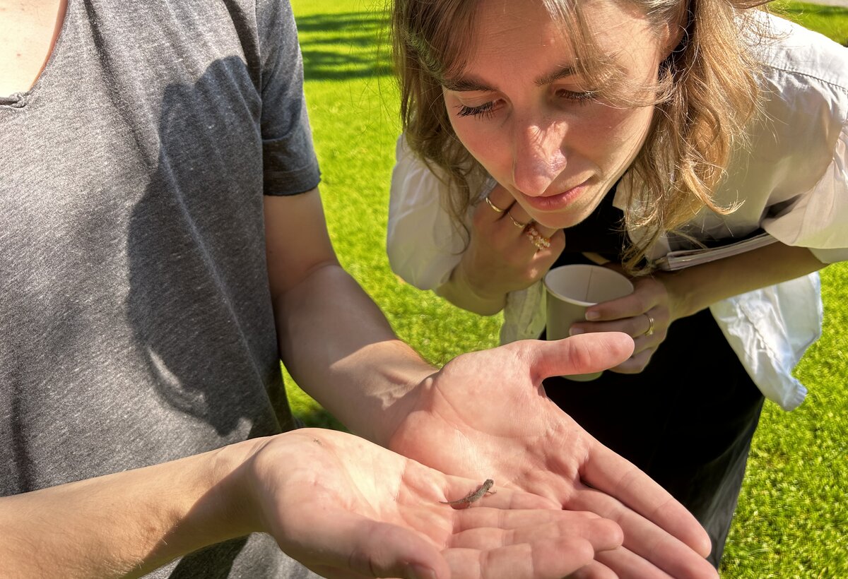 Biomimicry-2024 05 | © FHV Studentn schaut sich ein Insekt auf einer Hand eines anderen Studenten an. | © FHV