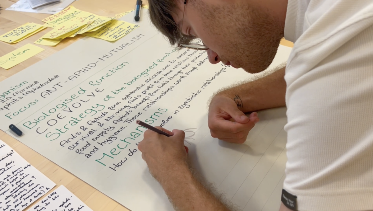 Student schreibt auf ein Plakat. | © FHV