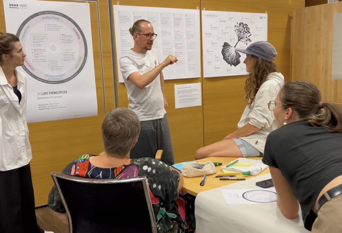 Biomimicry-2024 03 | © Fachbereich Gestaltung, FHV Unterschiedliche Menschen diskutieren vor diversen Plakaten | © Fachbereich Gestaltung, FHV