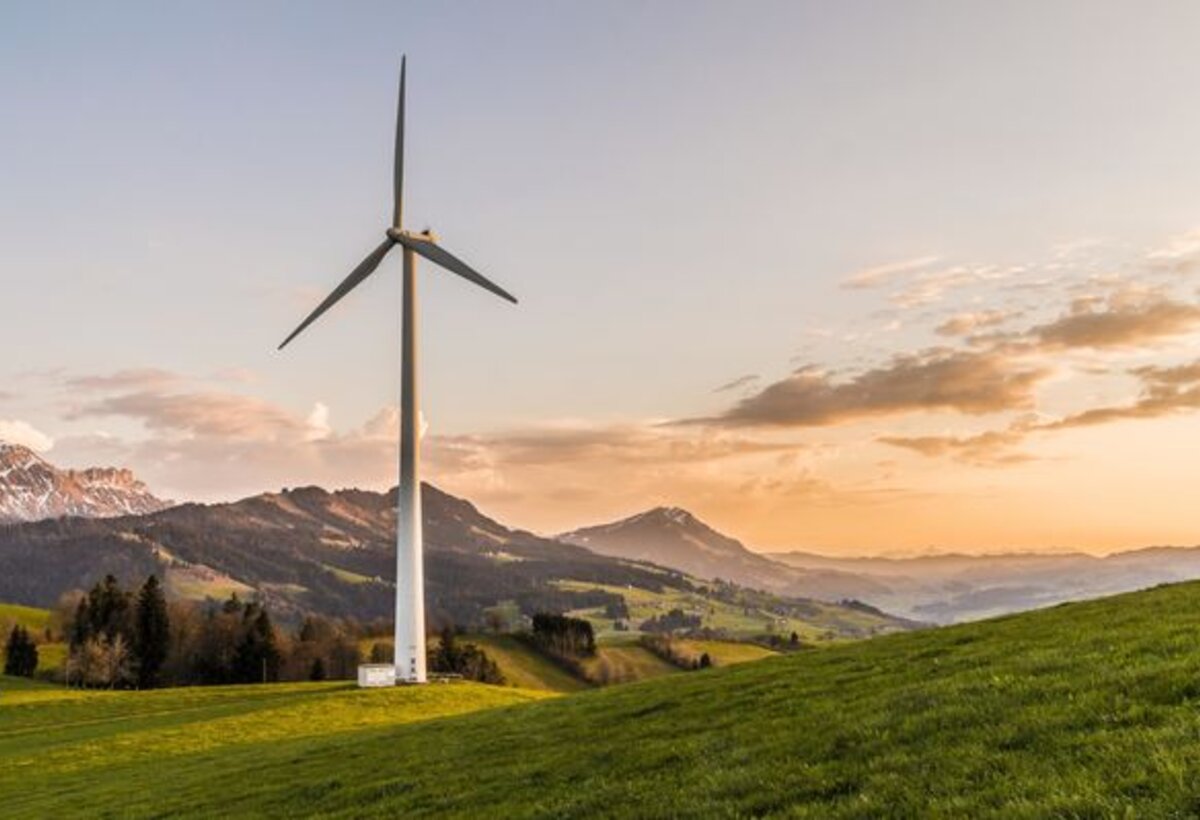 Windrad im Grünen