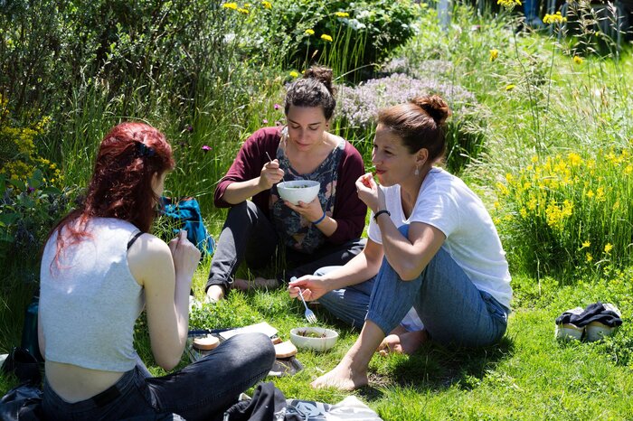 Circukar Lab | © FHV Menschen sitzen im Gras in einem Kreis und essen. | © FHV