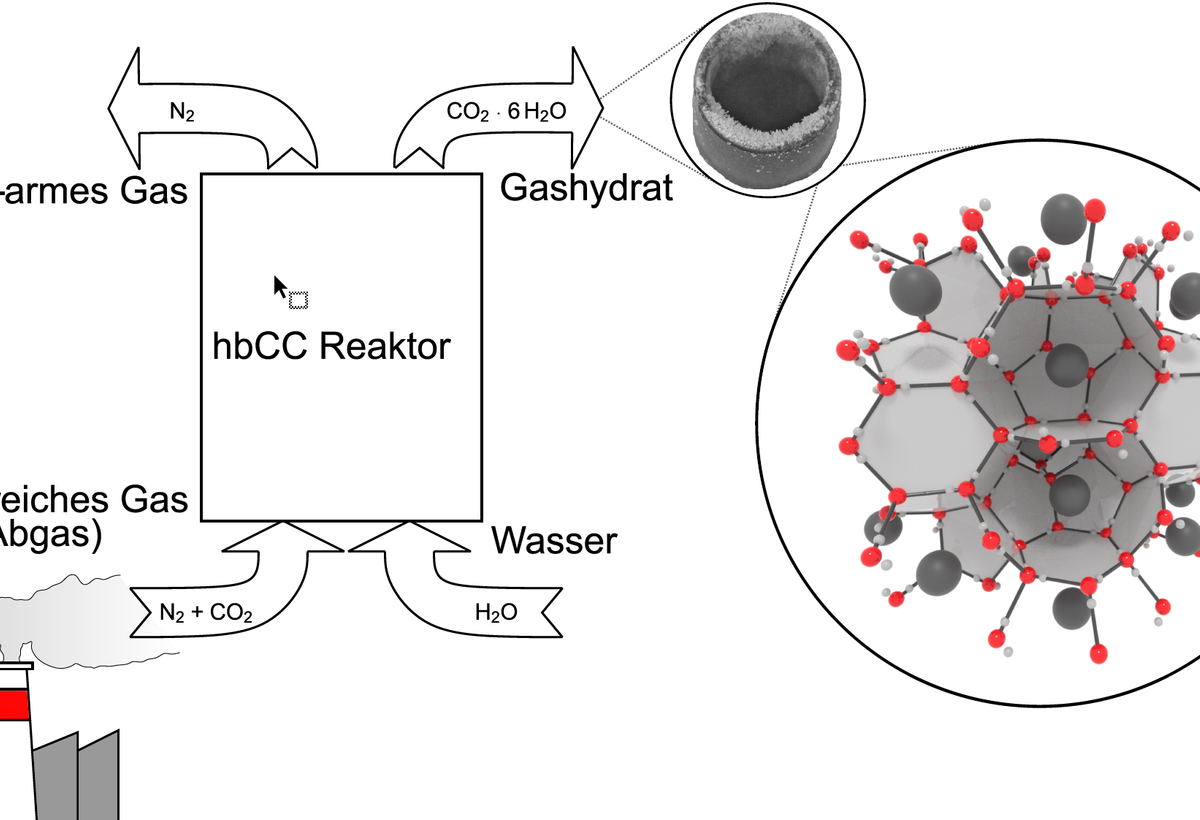 grafische Darstellung hbCC Reaktors