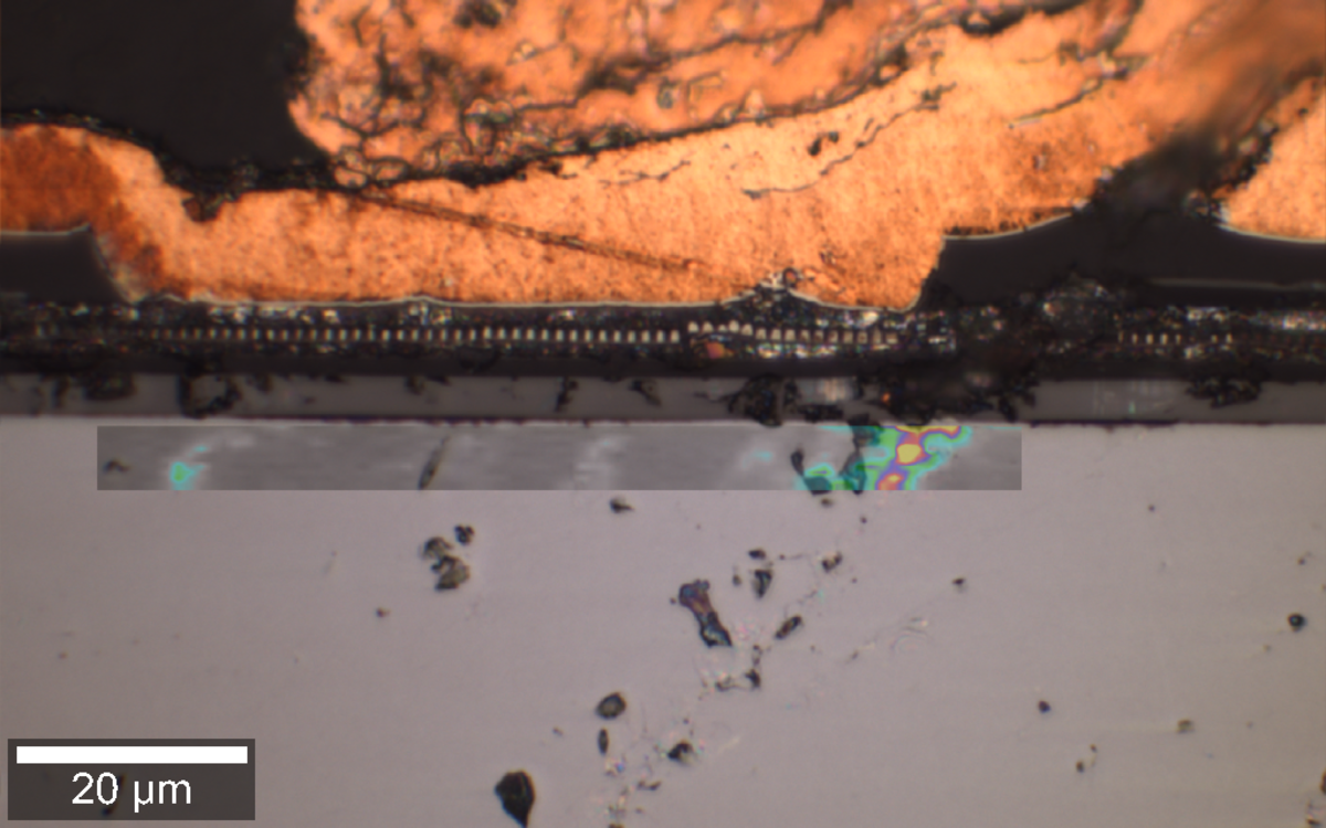Heatmap-Overlay über das optische Mikroskopbild | © FHV