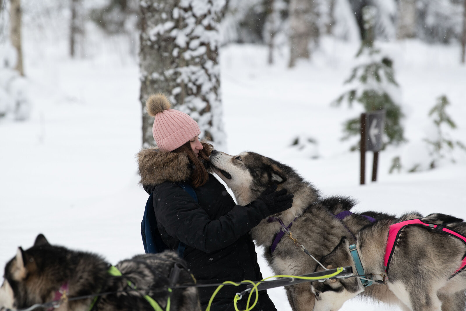 Outgoing | Lappeenranta University of Technology, Finland | © Natalie Volenter