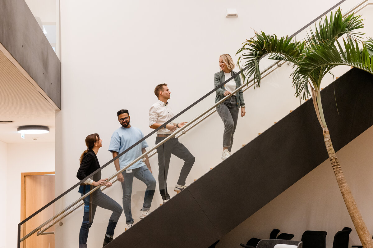 FHV-Mitarbeitende auf der Treppe | © Nina Bröll / FHV