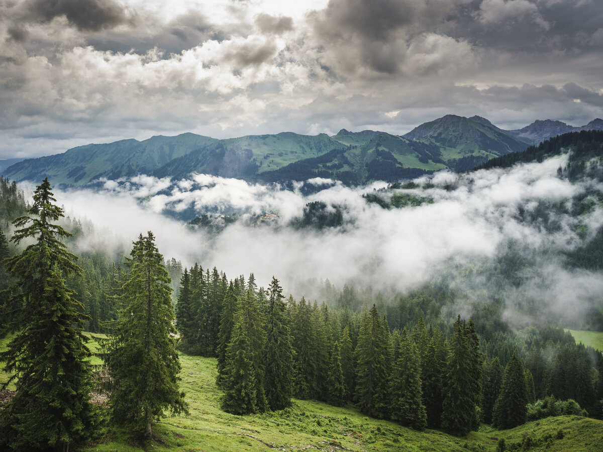 Berge und Wald mit Nebelschwaden und stimmungsvollem Himmel | © Dietmar Denger - Vorarlberg Tourismus