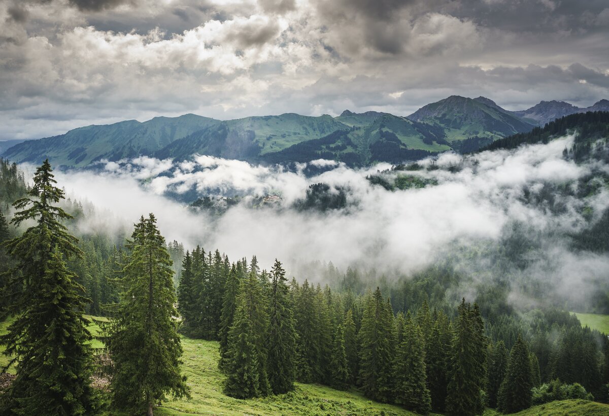Berge und Wald mit Nebelschwaden und stimmungsvollem Himmel | © Dietmar Denger - Vorarlberg Tourismus