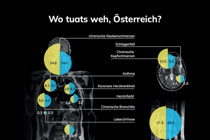 Intensivprojekt 3_Infografik | © ©Nadja Gabriel