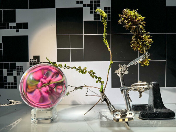 OpenIdea_100 (R)Evolution | © FHV